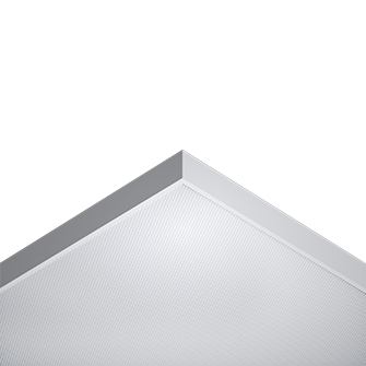 kyla swan backlit led light
