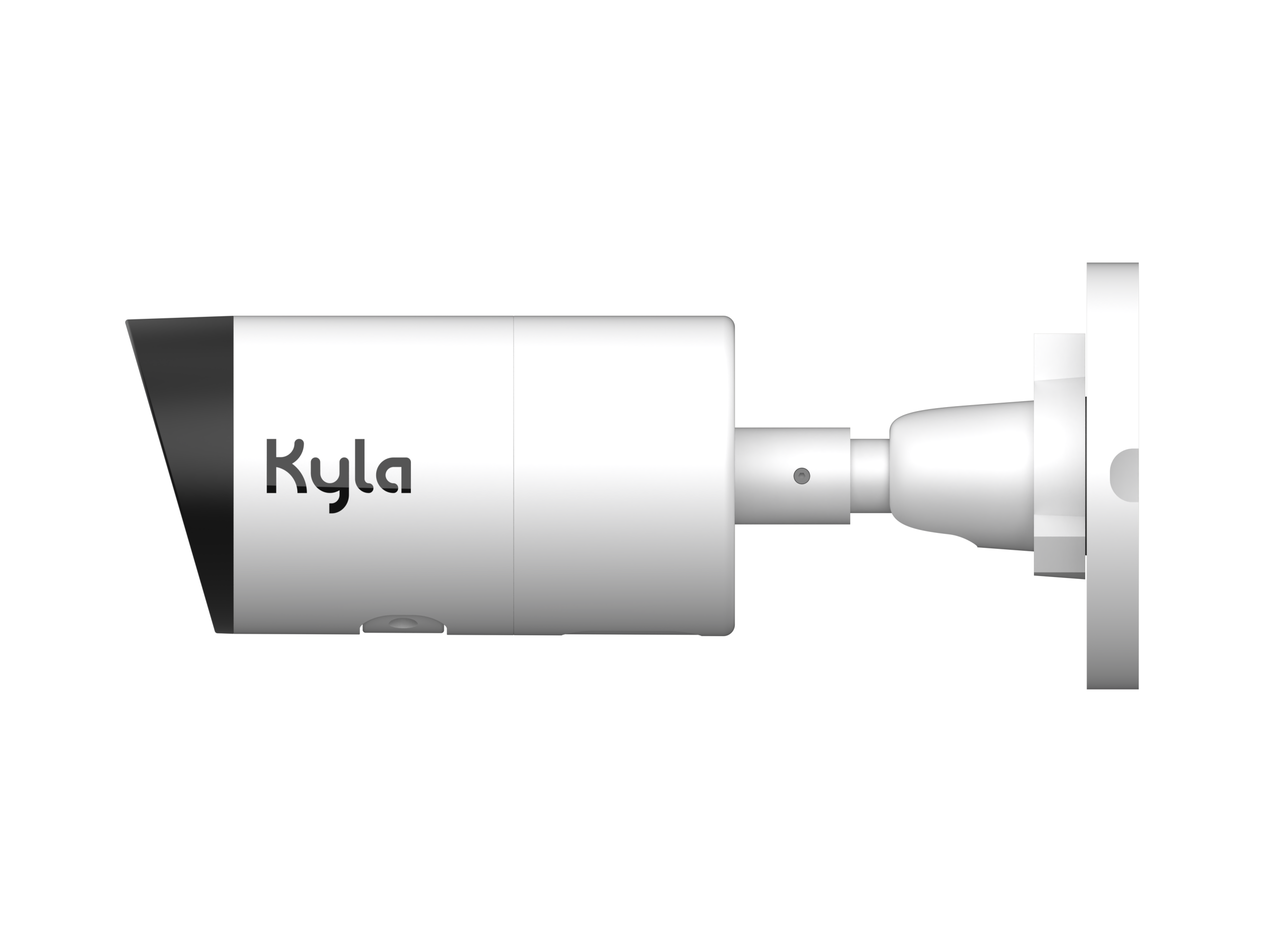 Bullet_P+_ side